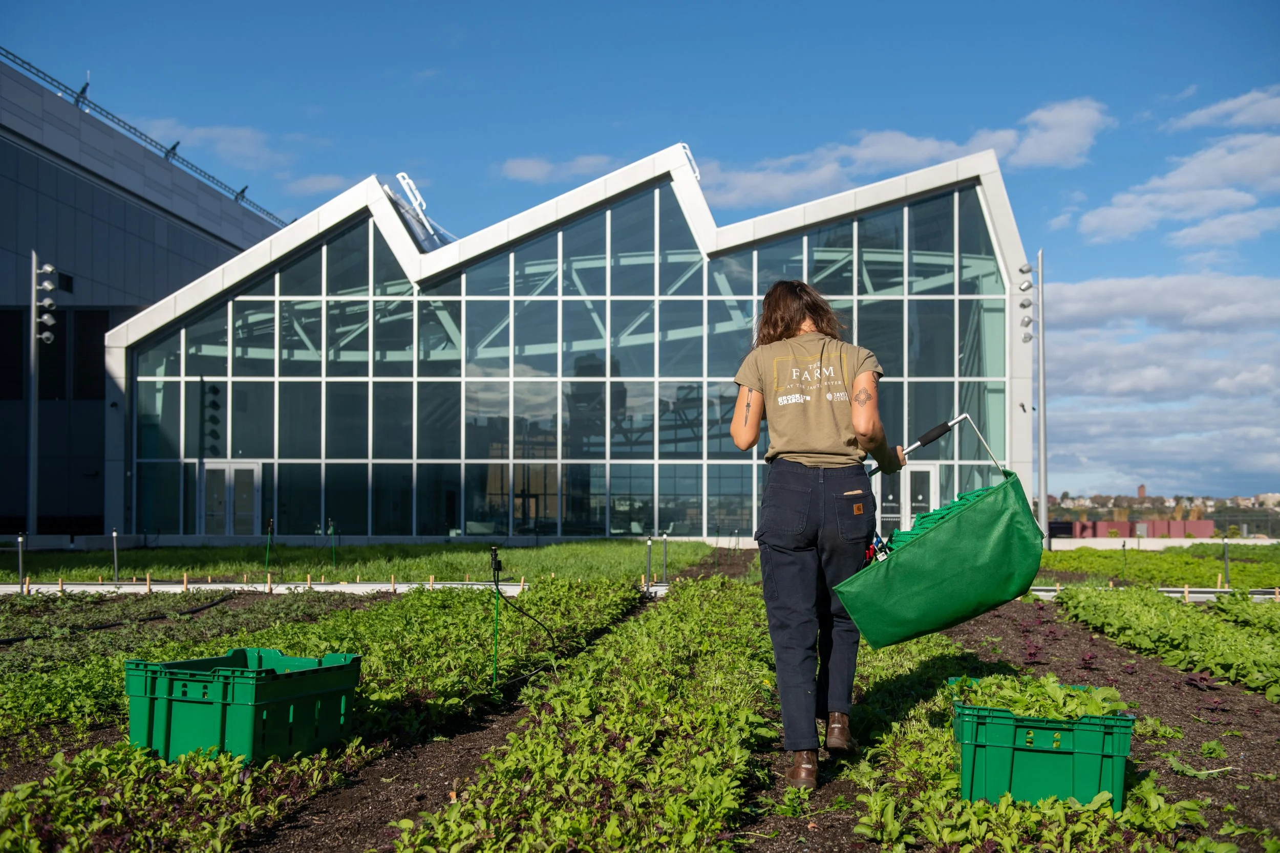 Javits Center Rooftop Farm Project - Brooklyn Grange